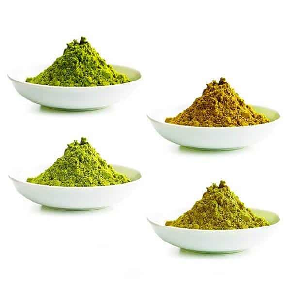 KRATOM STARTER PACK - GREEN, RED, WHITE, GOLD - ZELENÝ, ČERVENÝ, BÍLÝ, ZLATÝ KRATOM