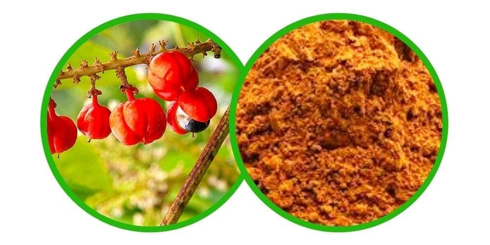 Guarana (Paullinia Cupana) – prášek – 50g