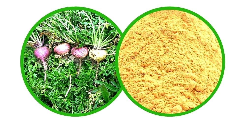 Maca (Lepidium meyenii) Extrakt 20x – 5 g