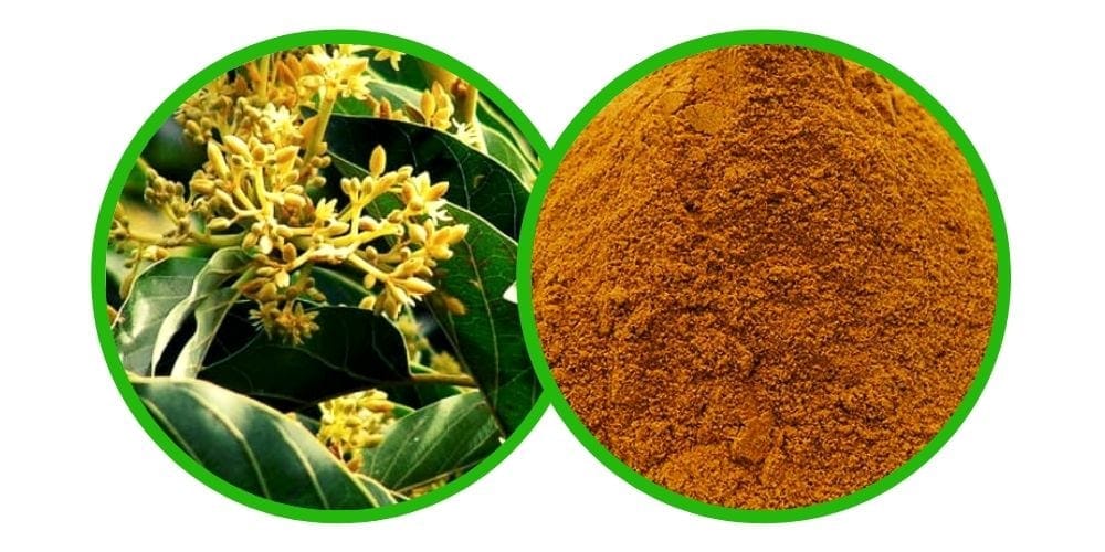 Muira puama (Ptychopelatum olacoides) - Extrakt