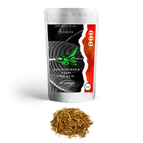 Banisteriopsis caapi - Red