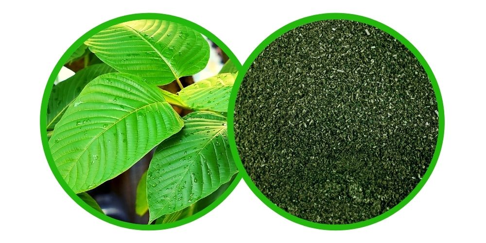 Kratom Maeng Da Black