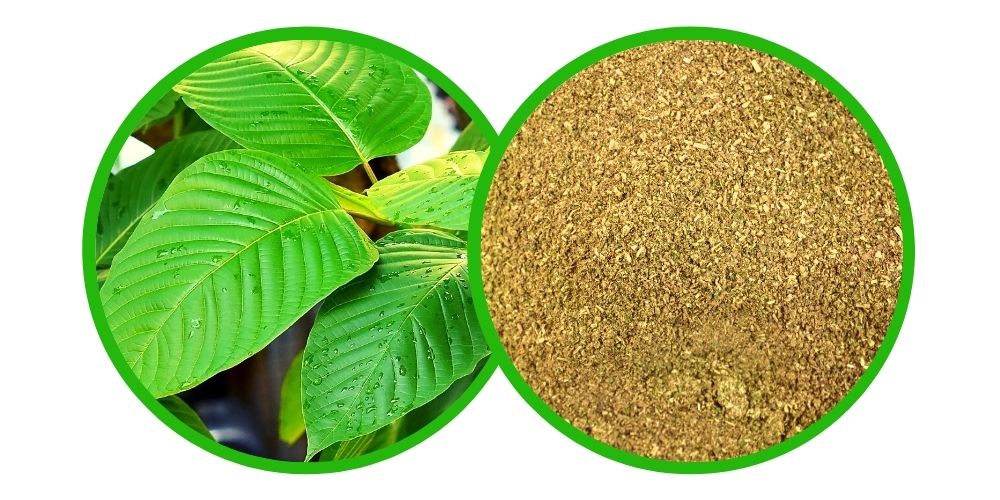 Kratom Red Bali Premium