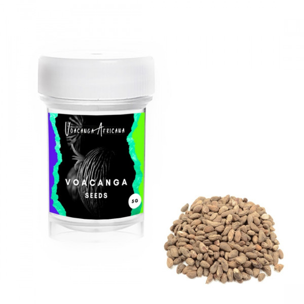 Voacanga (Voacanga africana) semena