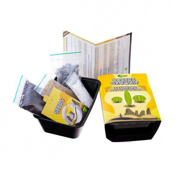 Sada na pěstování kaktusu - Fricii - Lophophora fricii