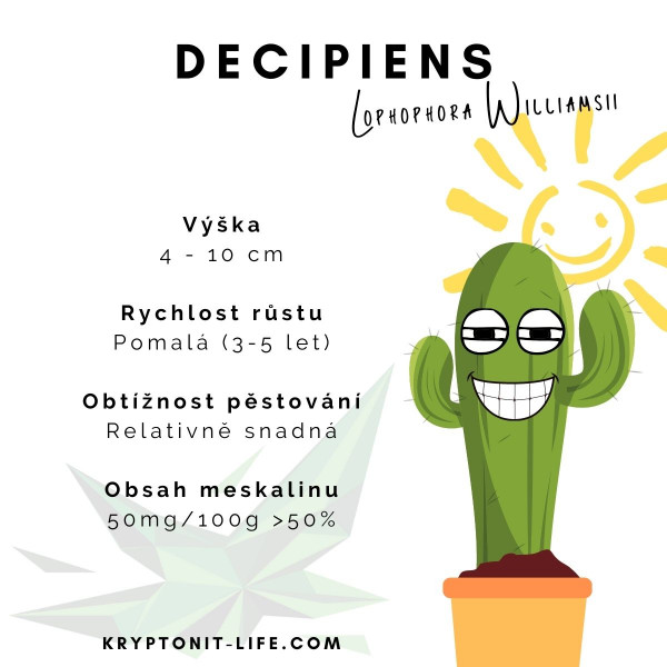 Sada na pěstování kaktusu - Decipiens - Lophophora williamsii
