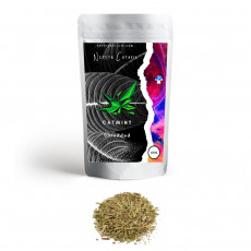 Šanta kočičí (Nepeta cataria) - 