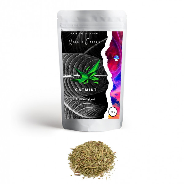 Šanta kočičí (Nepeta cataria) - Šanta kočičí (Nepeta cataria) -