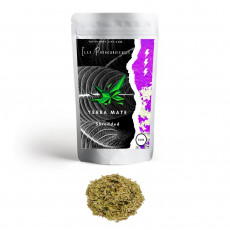 Yerba maté (Ilex paraguariensis) - Drcená Bylina