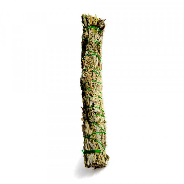 Pelyněk černobýl (Artemisia vulgaris) - 1 svazek - 20 cm