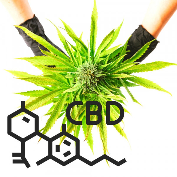 CBD & CBG