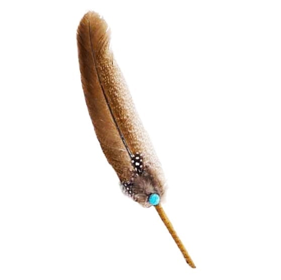 Krůtí tečkované pírko pro vykuřování