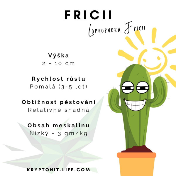 Fricii - Lophophora fricii - Semena