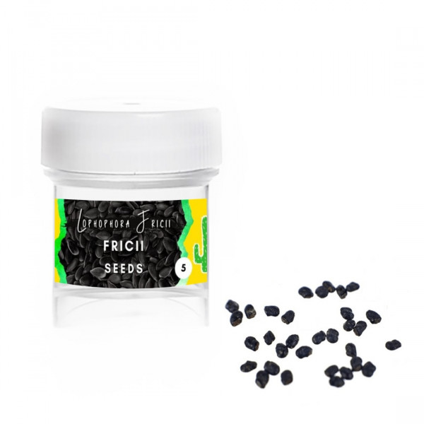 Fricii - Lophophora fricii - Semena