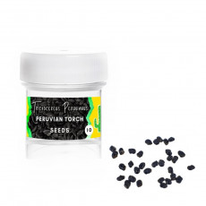 Peruvian torch - Trichocereus peruvianus - Semena