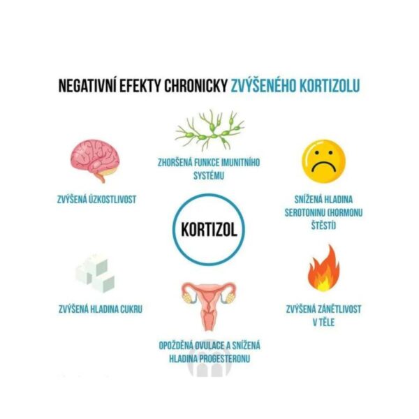 BrainMax - 1.5 Adaptogenic - 60 kapslí - Stop únavě!