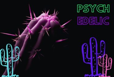 Meskalinové kaktusy - Jak je to s legislativou?