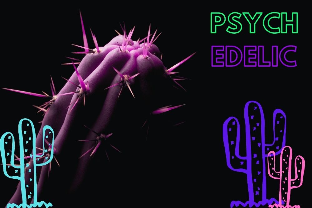 Meskalinové kaktusy - Jak je to s legislativou?