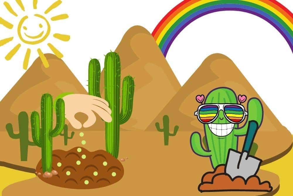 Pěstování meskalinových kaktusů s vysokým obsahem alkaloidů část 1.