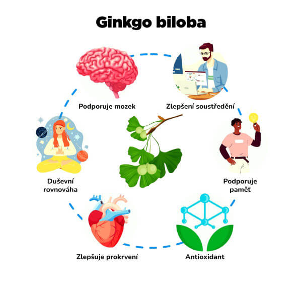 BrainMax - NeuroHacker - Dopamine Upgrade! - 60 kapslí - Výkon a Motivace