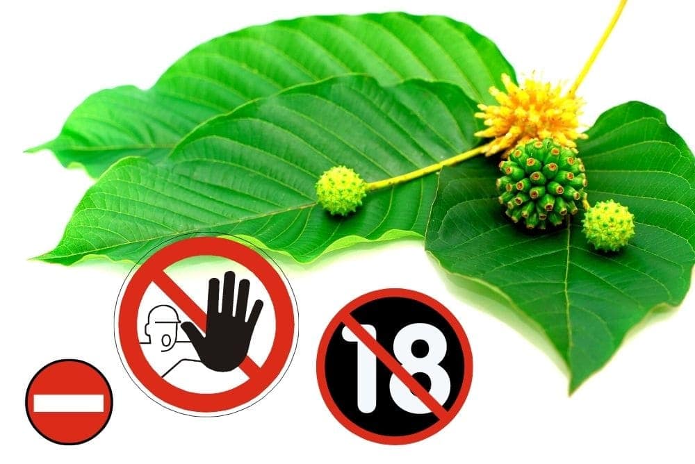 Informace o zákazu Kratomu v Česku a na Slovensku