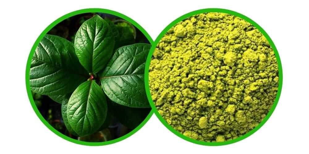 NE-KRATOM - Mitragyna Javanica - Prášek