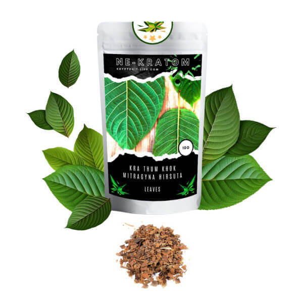 NE-KRATOM - Mitragyna Hirsuta - Drcené listy