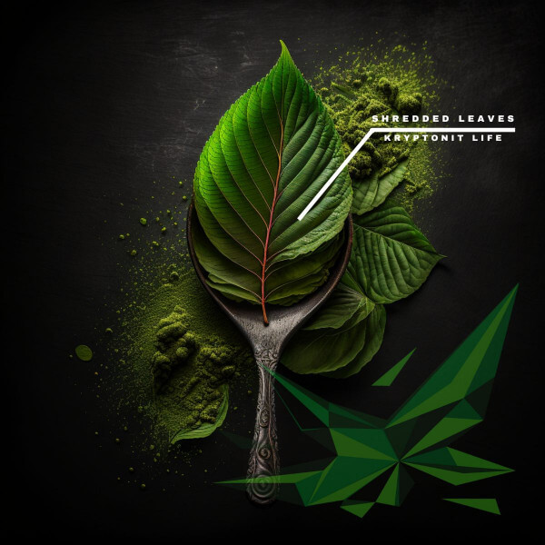 mitragyna javanica, mitragyna hirsuta, listy