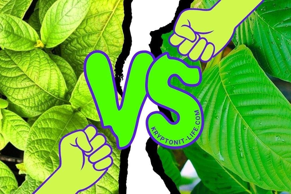Kratom vs Mitragyna Hirsuta a Javanica - Jaké jsou rozdíly?