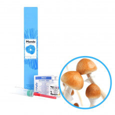 B+ Spory (Lahvička) - 10 ml