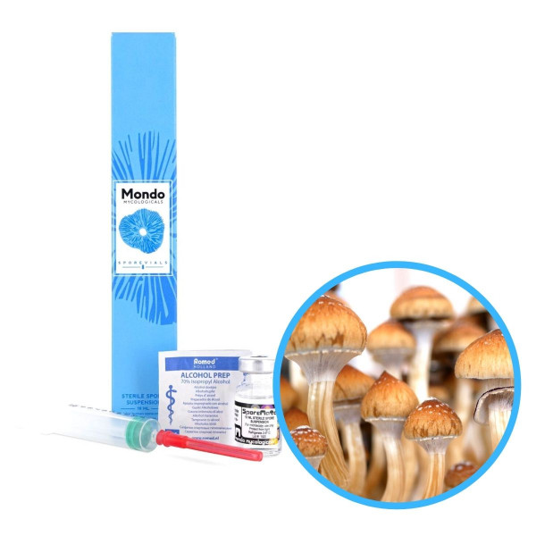 Golden Teacher Spory (Lahvička) - 10 ml