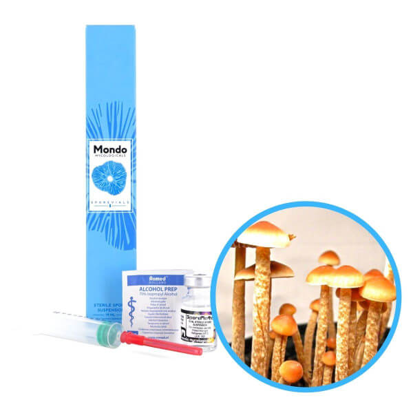 Sclerotia Georgia Spory (Lahvička) - 10 ml Sclerotia Georgia Spory (Lahvička) - 10 ml