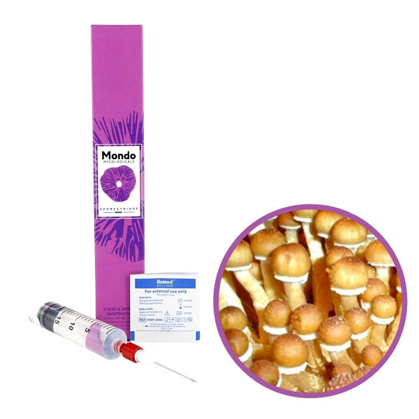 Cambodian Spory (Stříkačka) - 20 ml