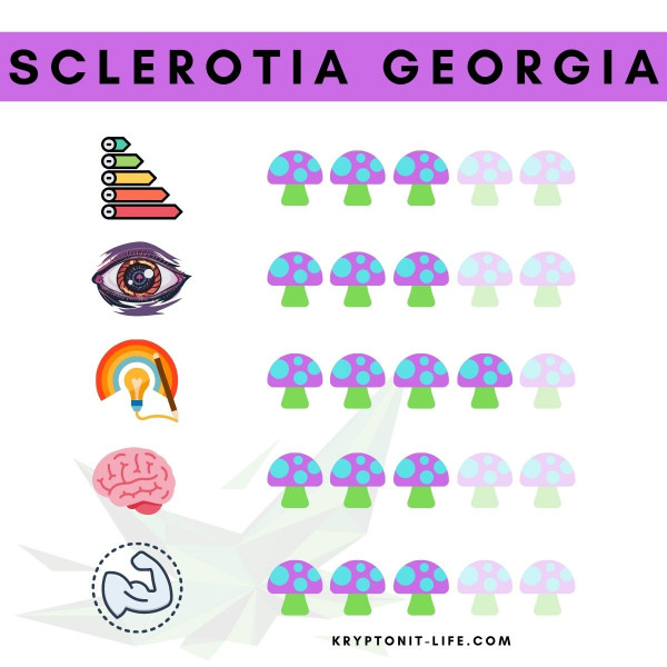 Sclerotia Georgia Spory (Lahvička) - 10 ml Sclerotia Georgia Spory (Lahvička) - 10 ml