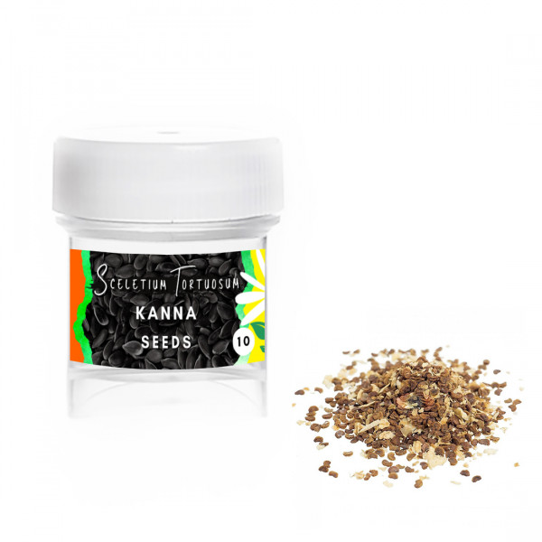 Kanna (Sceletium Tortuosum) - semena Kanna (Sceletium Tortuosum) - semena