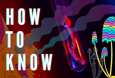 Jak poznat lysohlávku? Lysohlávka kopinatá & Lysohlávka tajemná