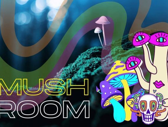 Psychedelické houby historie, současnost a zajímavosti