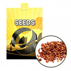 GH - Tabák virginský (Nicotiana tabacum) semena