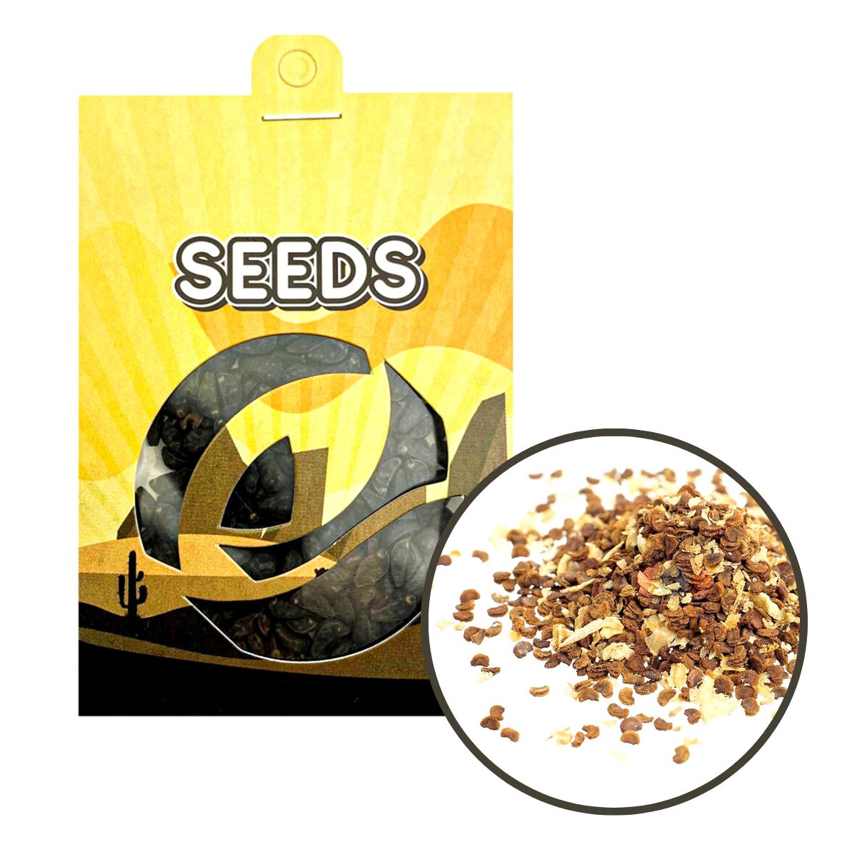 Kanna (Sceletium Tortuosum) - semena - 10x