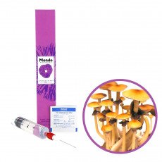 Ban Hua Thai Spory (Stříkačka) – 20 ml