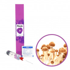 Ecuador Spory (Stříkačka) - 20 ml