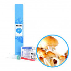 PF Original Spory (Lahvička) - 10 ml