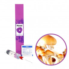 PF Original Spory (Stříkačka) – 20 ml