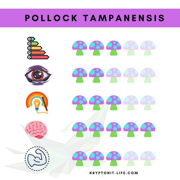 Pollock Tampanensis Spory (Lahvička) - 10 ml