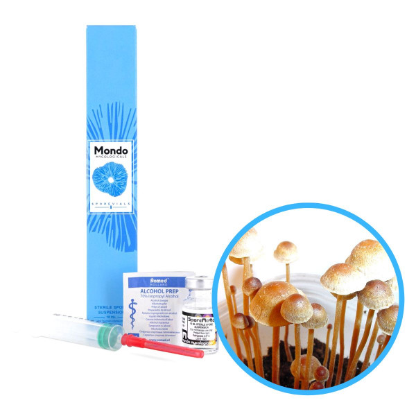 Pollock Tampanensis Spory (Lahvička) - 10 ml