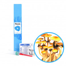 Ban Hua Thai Spory (Lahvička) – 10 ml