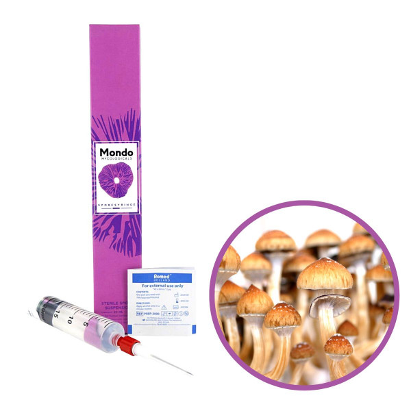 Golden Teacher Spory (Stříkačka) – 20 ml