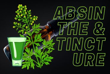 Jak na domácí výrobu Absinthu a dalších tinktur