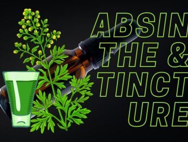 Jak na domácí výrobu Absinthu a dalších tinktur