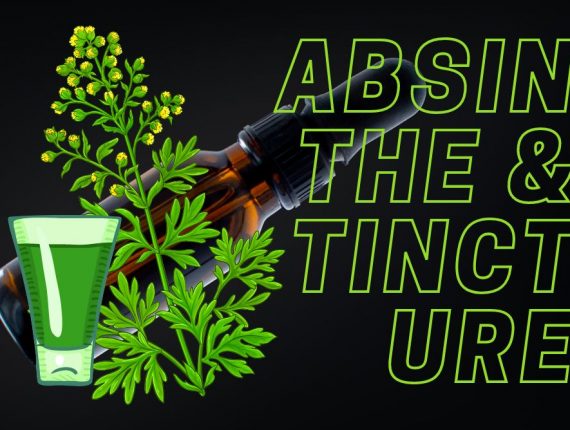 Jak na domácí výrobu Absinthu a dalších tinktur